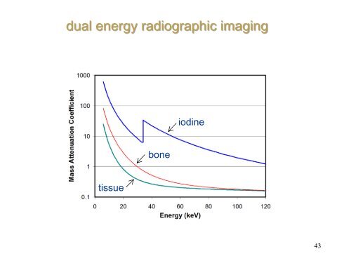 Projection Radiography