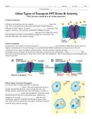 The Structure and Function of the Cell Membrane PPT Notes