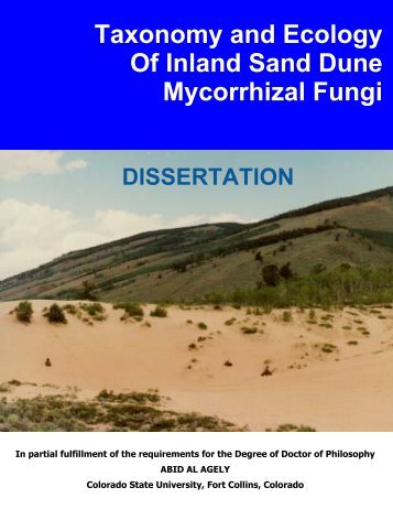 Taxonomy and Ecology Of Inland Sand Dune ... - Mycorrhizae
