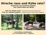 Hirsche raus und KÃƒÂ¼he rein? - Prof. Dr. Eckhard Jedicke