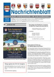 Nr. 28 vom 12. Juli 2013 - Vogtsburg im Kaiserstuhl