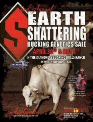 SEE PAGE 8 FOR DETAILS - Diamond S Bucking Bulls