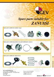 ZANUSSI - GEV