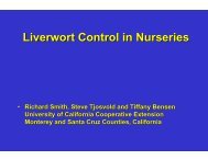 Liverwort Control in Nurseries - Monterey County - University of ...