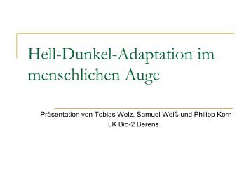 Hell-Dunkel-Adaptation im menschlichen Auge