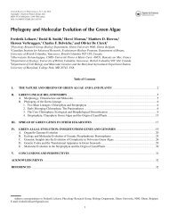 Phylogeny and Molecular Evolution of the Green Algae - Phycology ...