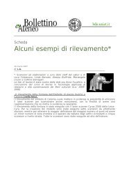 Alcuni esempi di rilevamento*