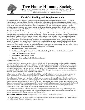 Feral Cat Feeding and Supplementation - Tree House Humane ...