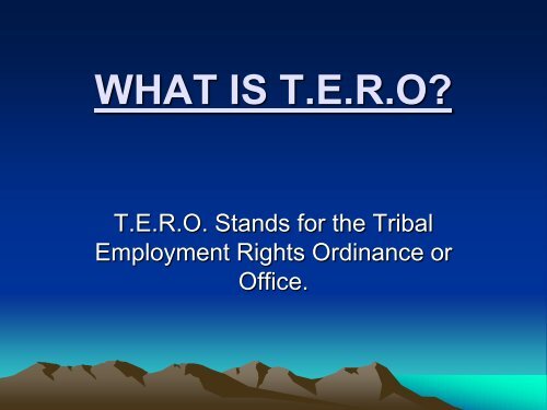 What Is T.E.R.O