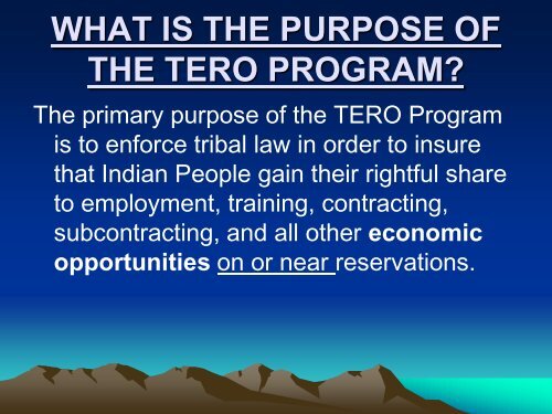 What Is T.E.R.O