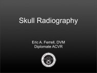 Skull Series Radiographic Views