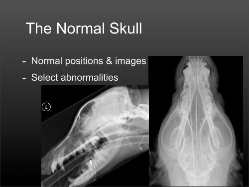 Skull Series Radiographic Views