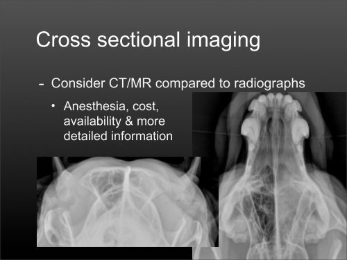 Skull Series Radiographic Views