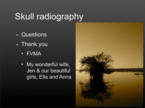 Skull Series Radiographic Views