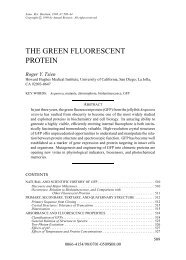 THE GREEN FLUORESCENT PROTEIN - Tsien