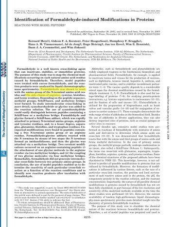 Identification of Formaldehyde-induced Modifications in Proteins