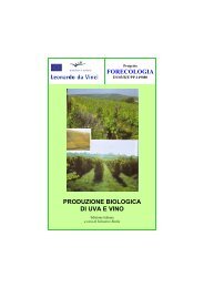 forecologia produzione biologica di uva e vino - Projects - Ifes