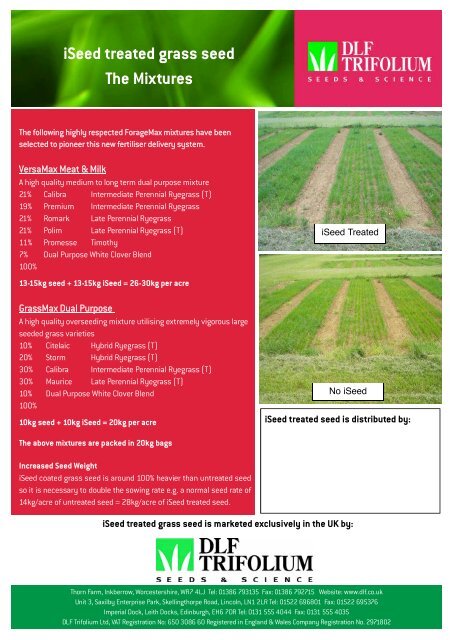 ISeed Leaflet - dlf-trifolium