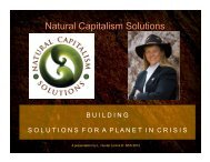Hunter's slides - Natural Capitalism Solutions