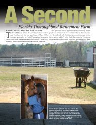 The Florida Horse - Florida Department of Corrections