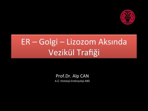 ER â Golgi â Lizozom AksÄ±nda VezikÃ¼l TrafiÄi