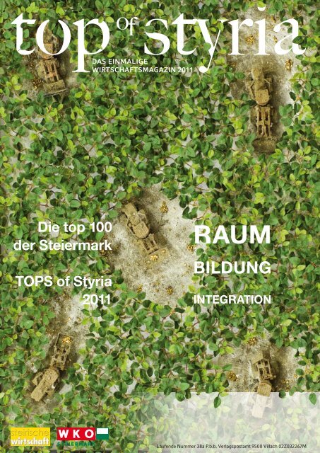 Download this publication as PDF - Top of Styria