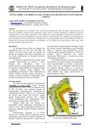 notas sobre a ocorrÃªncia de cavernas em diamictito no estado do ...