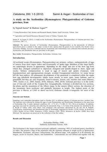 Scelionidae paper.cwk (WP) - Calodema
