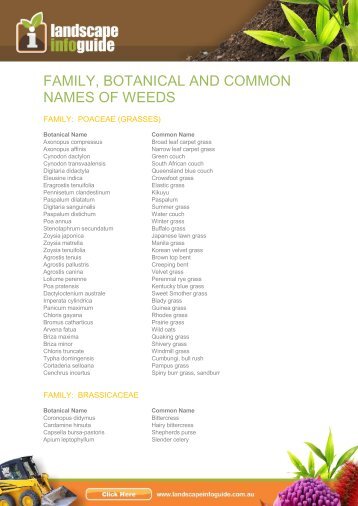 family, botanical and common names of weeds - Landscape Info ...