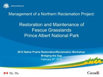 Restoration and Maintenance of Fescue Grasslands Prince Albert ...