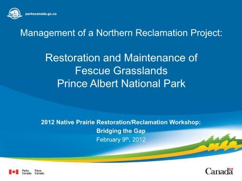 Restoration and Maintenance of Fescue Grasslands Prince Albert ...