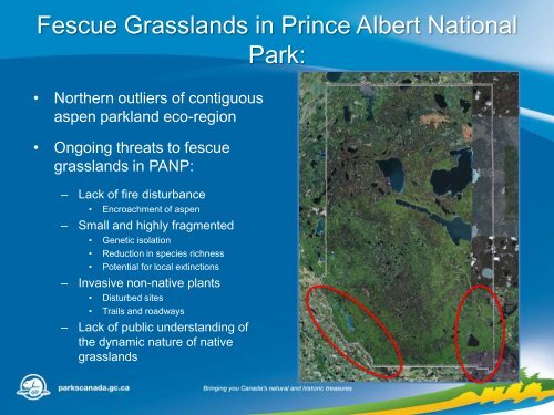 Restoration and Maintenance of Fescue Grasslands Prince Albert ...