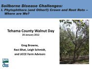 Phytophthora Root and Crown Rot Disease - Tehama County