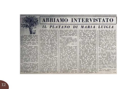 Platano di Maria Luigia - Clamer Informa