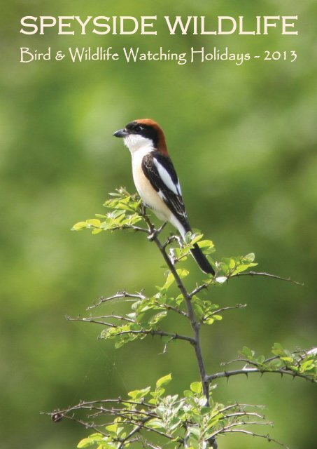 Kielder Water Birds of Prey Centre – One of the largest collections of birds  in the North of England