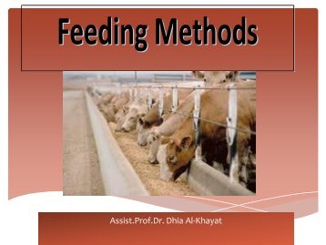Feeding Methods - UMK CARNIVORES 3