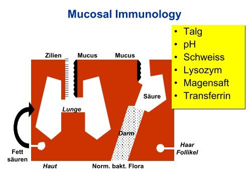 B Zellen und Antigene - University Institute of Immunology