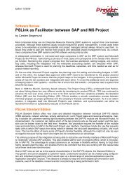 PSLink as Facilitator between SAP and MS Project - The Project Group