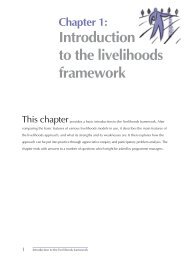 Introduction to the livelihoods framework - Phuhlisani Solutions