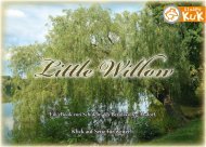 e-Book - Little Willow: BK Alsdorf - KinderKuK des KuK-Monschau