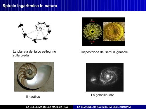 La sezione aurea - misura dell'armonia matematica