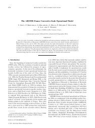 The AROME-France Convective-Scale Operational Model