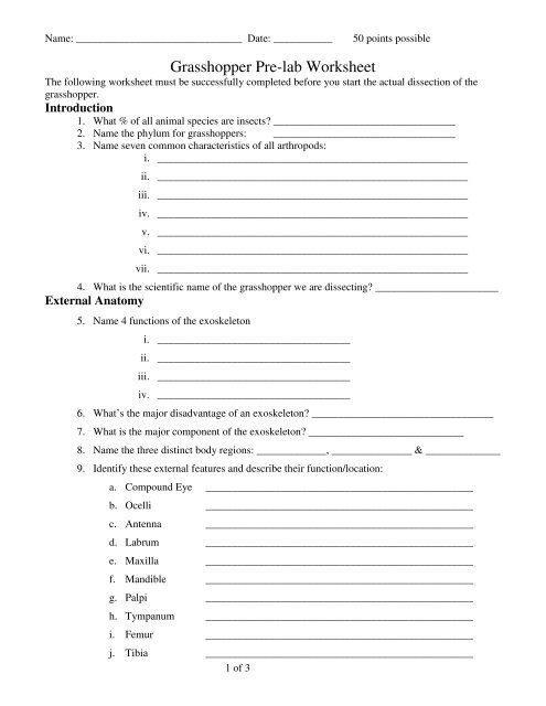 Grasshopper Pre-lab Worksheet - Mr.E Science