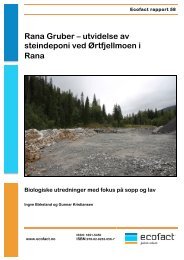 Rapport biologisk mangfold Rana Gruber_rev_Geir - EcoFact