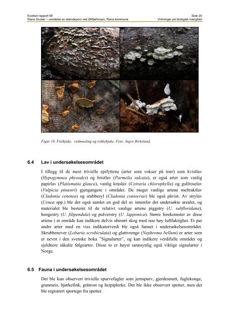 Rapport biologisk mangfold Rana Gruber_rev_Geir - EcoFact