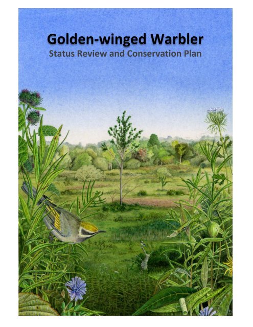 Review and download Chapter 3 - Golden-winged Warbler Working ...