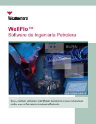 WellFloâ¢ - eProduction Solutions