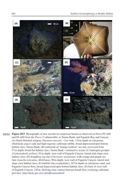 Seamounts, Ridges, and Reef Habitats of American Samoa