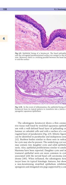 Pathology of the Head and Neck