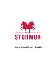 program - Stormur